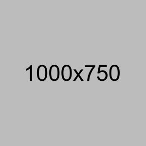 Product Ten